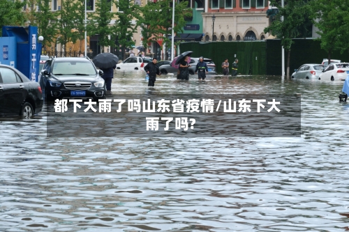 都下大雨了吗山东省疫情/山东下大雨了吗?-第2张图片