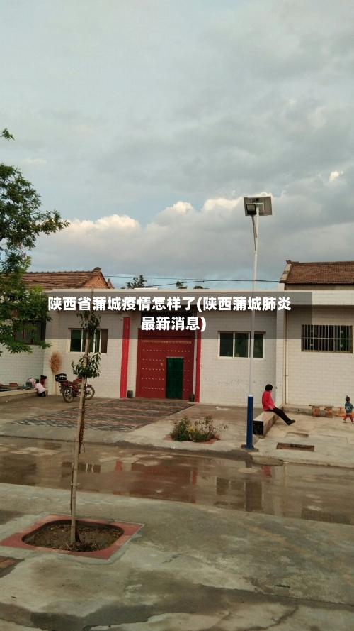 陕西省蒲城疫情怎样了(陕西蒲城肺炎最新消息)-第3张图片