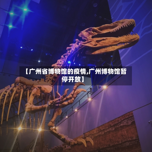 【广州省博物馆的疫情,广州博物馆暂停开放】-第3张图片