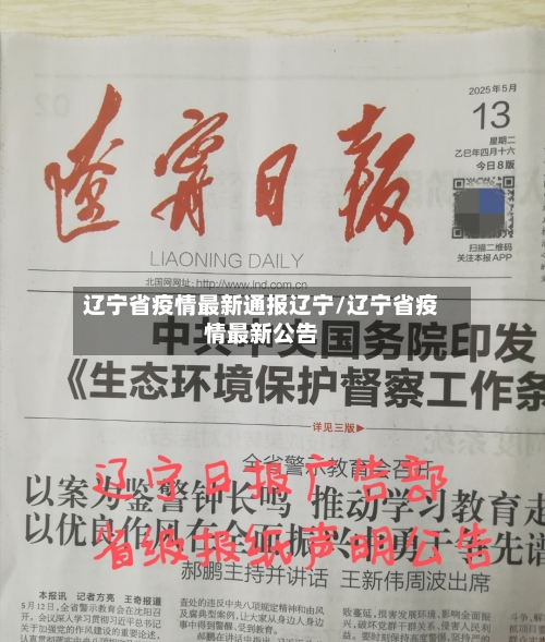辽宁省疫情最新通报辽宁/辽宁省疫情最新公告-第3张图片