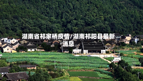 湖南省祁家桥疫情/湖南祁阳县最新消息-第2张图片