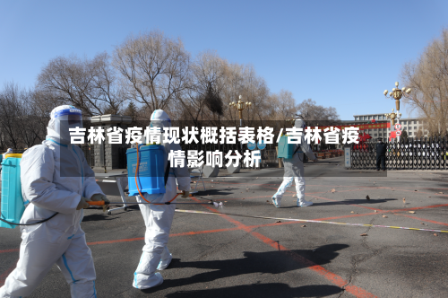 吉林省疫情现状概括表格/吉林省疫情影响分析-第2张图片
