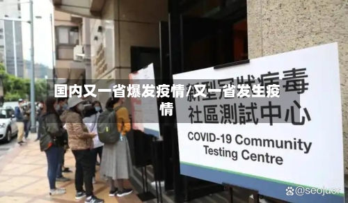 国内又一省爆发疫情/又一省发生疫情-第1张图片