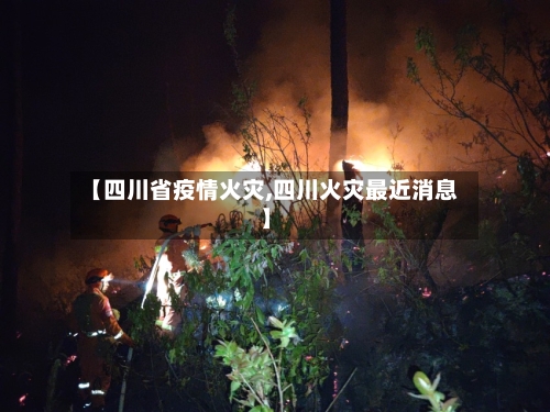【四川省疫情火灾,四川火灾最近消息】-第2张图片