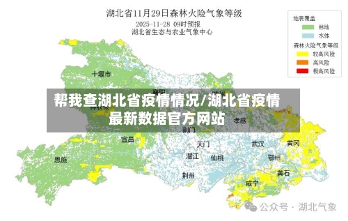 帮我查湖北省疫情情况/湖北省疫情最新数据官方网站-第1张图片