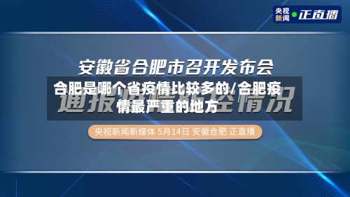 合肥是哪个省疫情比较多的/合肥疫情最严重的地方-第2张图片