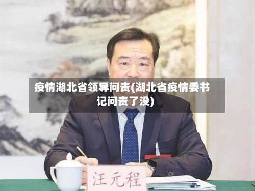 疫情湖北省领导问责(湖北省疫情委书记问责了没)-第1张图片