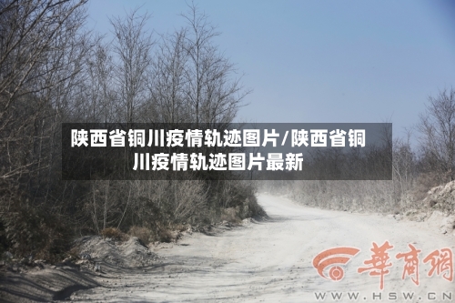 陕西省铜川疫情轨迹图片/陕西省铜川疫情轨迹图片最新-第2张图片