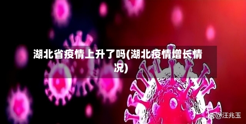 湖北省疫情上升了吗(湖北疫情增长情况)-第2张图片