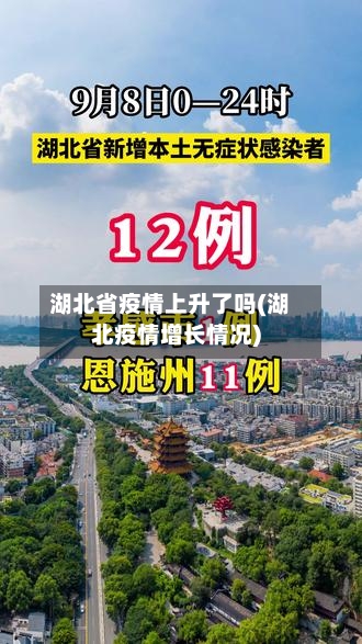 湖北省疫情上升了吗(湖北疫情增长情况)-第1张图片