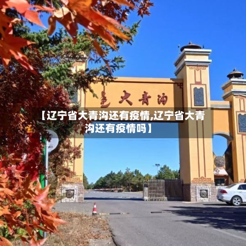 【辽宁省大青沟还有疫情,辽宁省大青沟还有疫情吗】-第2张图片