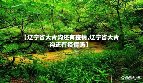 【辽宁省大青沟还有疫情,辽宁省大青沟还有疫情吗】-第1张图片