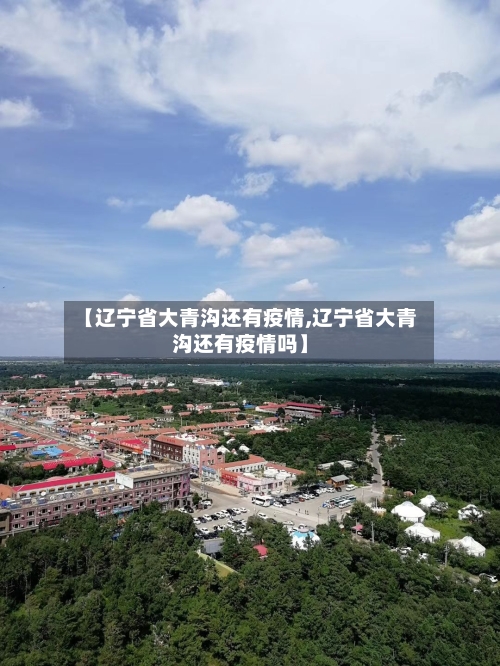 【辽宁省大青沟还有疫情,辽宁省大青沟还有疫情吗】-第3张图片