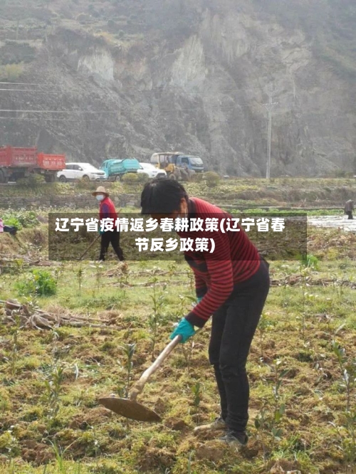 辽宁省疫情返乡春耕政策(辽宁省春节反乡政策)-第1张图片