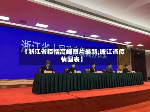 【浙江省疫情高峰图片最新,浙江省疫情图表】-第3张图片