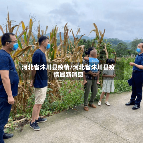 河北省沐川县疫情/河北省沐川县疫情最新消息-第2张图片
