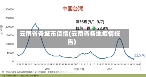 云南省各城市疫情(云南省各地疫情报告)-第1张图片