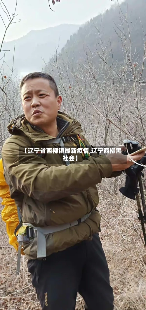 【辽宁省西柳镇最新疫情,辽宁西柳黑社会】-第1张图片