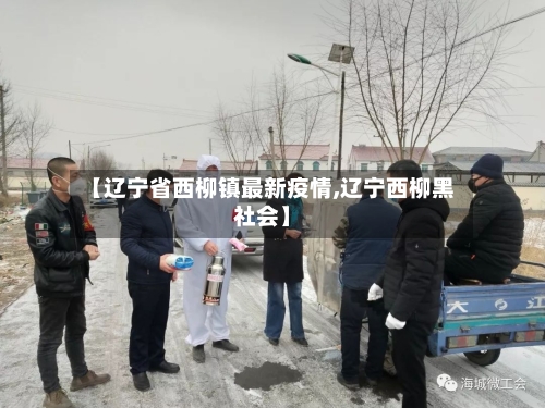 【辽宁省西柳镇最新疫情,辽宁西柳黑社会】-第2张图片