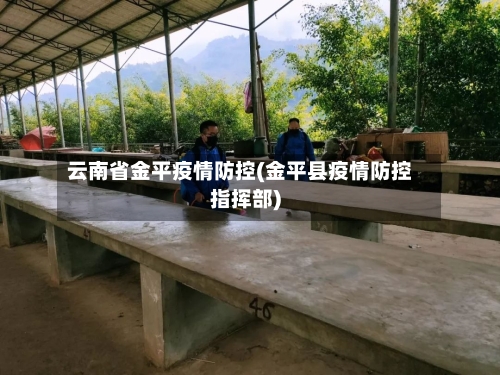 云南省金平疫情防控(金平县疫情防控指挥部)-第3张图片