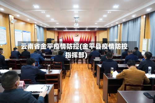 云南省金平疫情防控(金平县疫情防控指挥部)-第2张图片