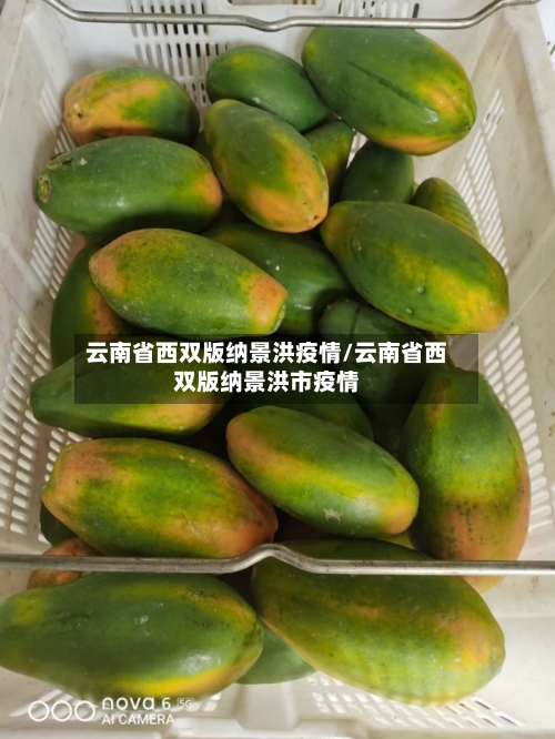 云南省西双版纳景洪疫情/云南省西双版纳景洪市疫情-第1张图片