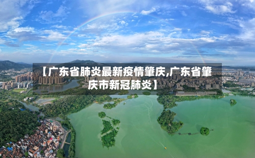 【广东省肺炎最新疫情肇庆,广东省肇庆市新冠肺炎】-第3张图片
