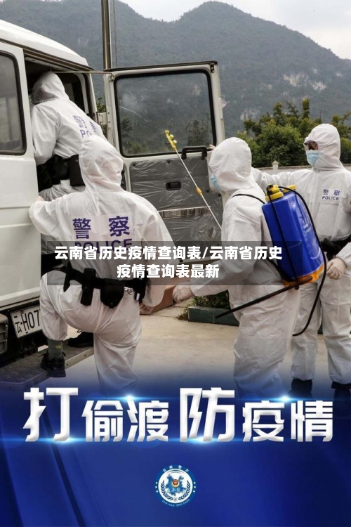 云南省历史疫情查询表/云南省历史疫情查询表最新-第3张图片