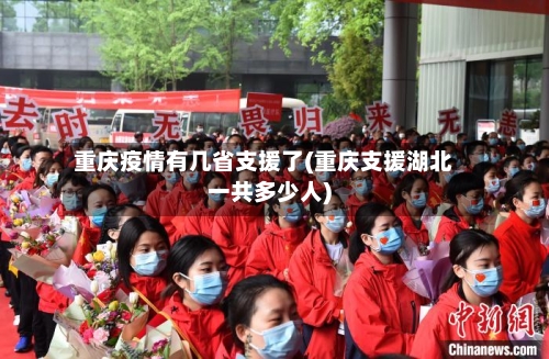 重庆疫情有几省支援了(重庆支援湖北一共多少人)-第1张图片