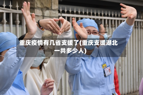 重庆疫情有几省支援了(重庆支援湖北一共多少人)-第2张图片