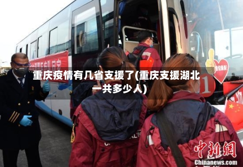 重庆疫情有几省支援了(重庆支援湖北一共多少人)-第3张图片