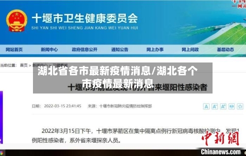 湖北省各市最新疫情消息/湖北各个市疫情最新消息-第2张图片