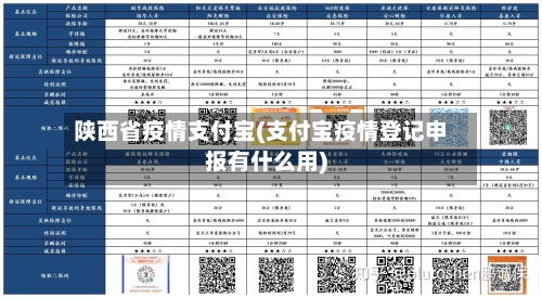 陕西省疫情支付宝(支付宝疫情登记申报有什么用)-第1张图片