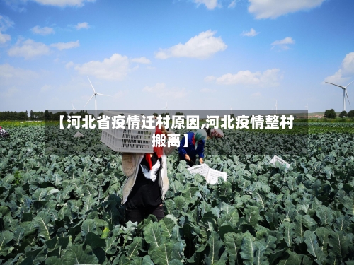 【河北省疫情迁村原因,河北疫情整村搬离】-第2张图片