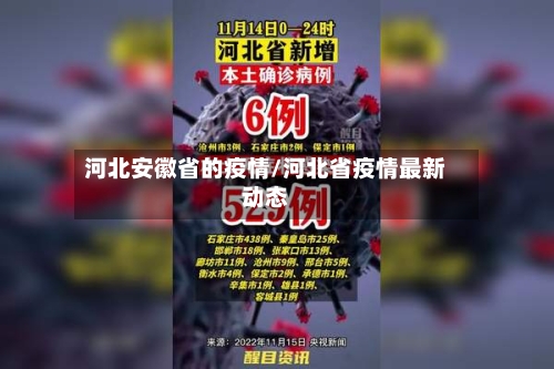 河北安徽省的疫情/河北省疫情最新动态-第2张图片