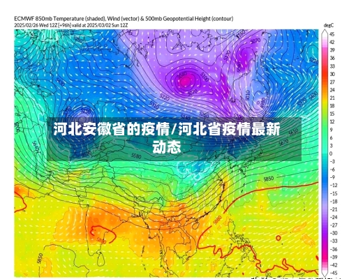 河北安徽省的疫情/河北省疫情最新动态-第1张图片