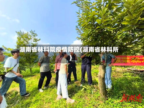 湖南省林科院疫情防控(湖南省林科所)-第2张图片