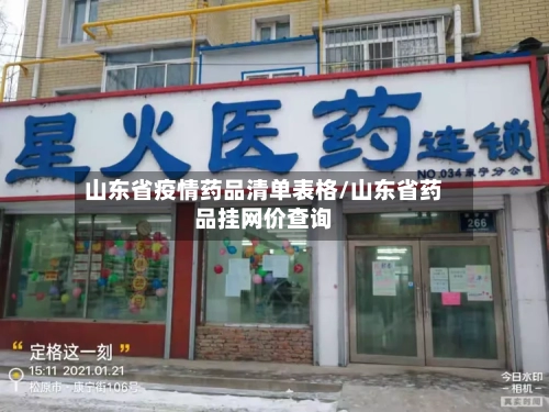山东省疫情药品清单表格/山东省药品挂网价查询-第1张图片