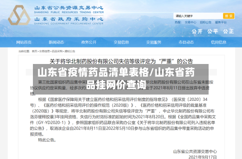 山东省疫情药品清单表格/山东省药品挂网价查询-第2张图片