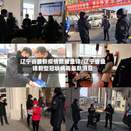 辽宁省最新疫情数据盘锦/辽宁省盘锦新型冠状病毒最新消息-第3张图片