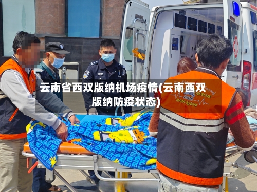 云南省西双版纳机场疫情(云南西双版纳防疫状态)-第3张图片