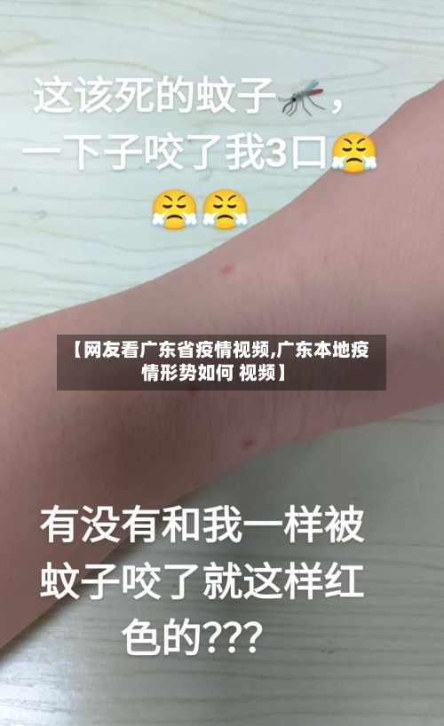 【网友看广东省疫情视频,广东本地疫情形势如何 视频】-第2张图片