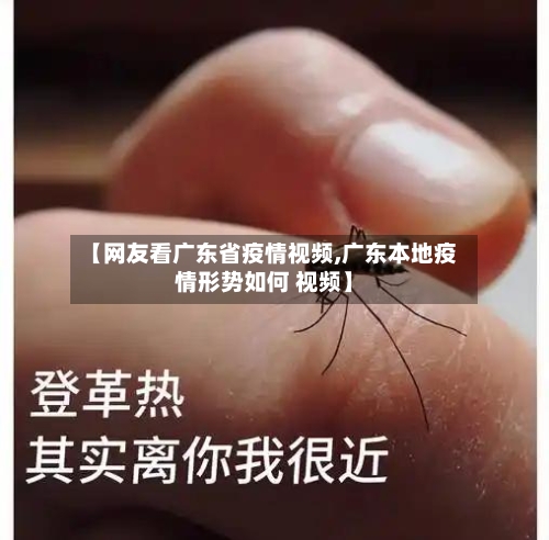 【网友看广东省疫情视频,广东本地疫情形势如何 视频】-第3张图片