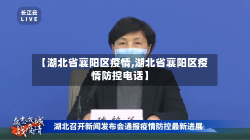 【湖北省襄阳区疫情,湖北省襄阳区疫情防控电话】-第3张图片