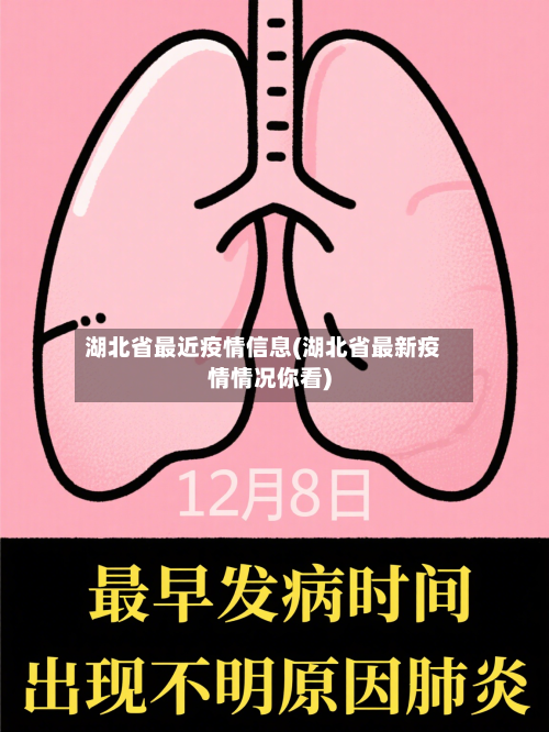 湖北省最近疫情信息(湖北省最新疫情情况你看)-第1张图片