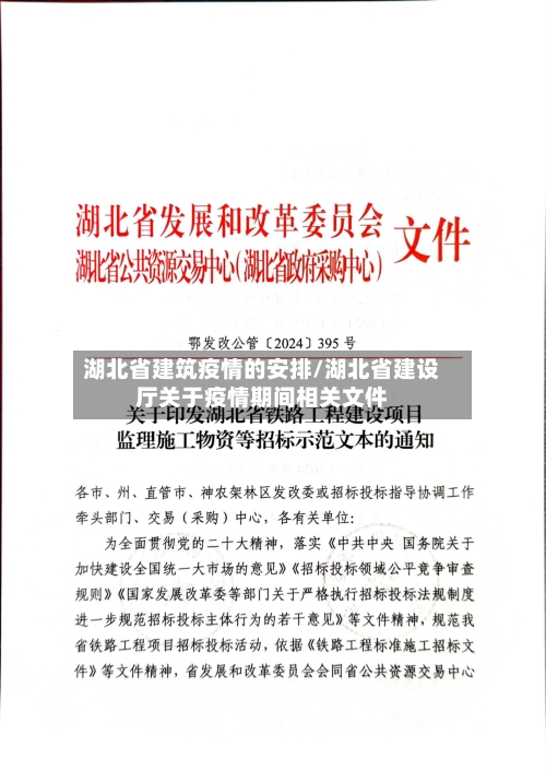 湖北省建筑疫情的安排/湖北省建设厅关于疫情期间相关文件-第1张图片