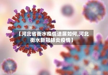 【河北省衡水疫情进展如何,河北衡水新冠肺炎疫情】-第3张图片
