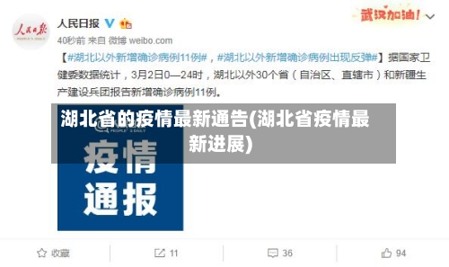 湖北省的疫情最新通告(湖北省疫情最新进展)-第2张图片