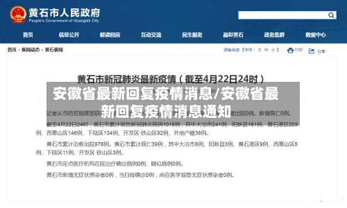 安徽省最新回复疫情消息/安徽省最新回复疫情消息通知-第3张图片