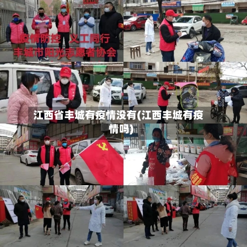 江西省丰城有疫情没有(江西丰城有疫情吗)-第1张图片
